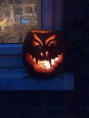 /album/from-the-allotment-to-plate/east-hertfordshire-20111030-00002-jpg/